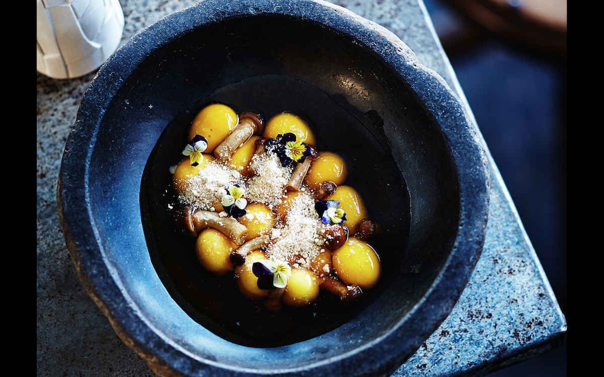 Gastro Park Liquid Gnocchi
